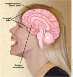 Nucleus accumbens